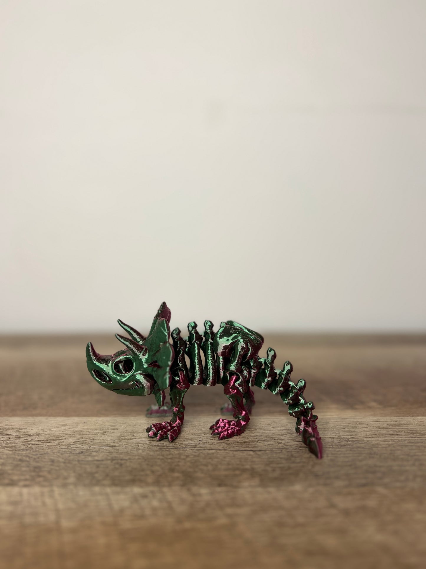Triceratops