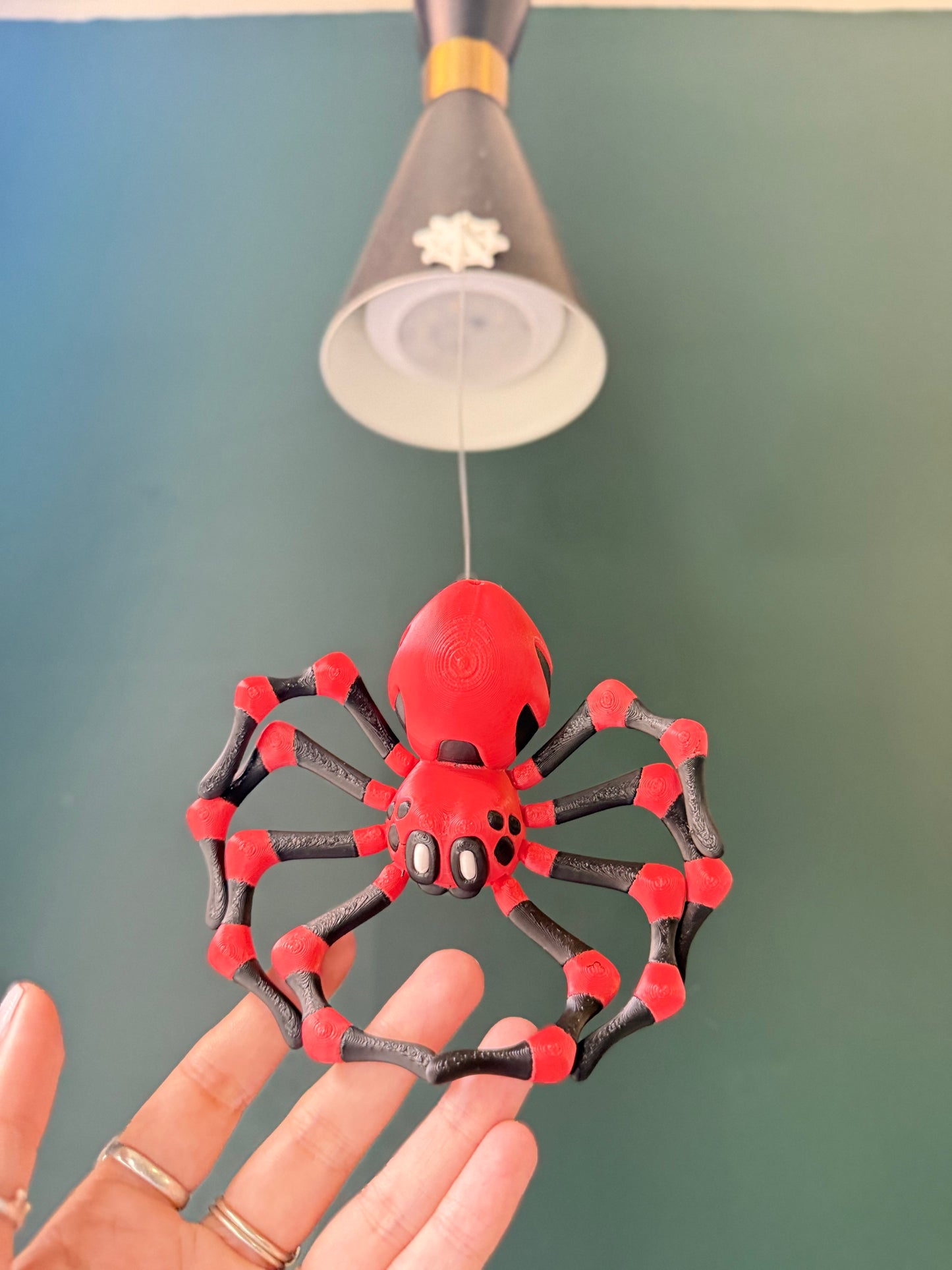Spiders